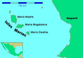 Domestic tres marias make great talkers and can acquire large amounts of yellow on their heads in just a few years. Islas Marias Wikipedia