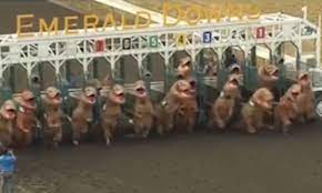 In just a few years, the company says, its annual group outing at the track somehow evolved into the dinosaur racing era began in 2017. Runners Wearing Inflatable T Rex Costumes Dash Along A Horse Track In Hilarious Race Daily Mail Online
