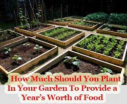 How Much Should You Plant In Your Garden To Provide A Year S Worth Of Food Vegetable Garden Design Backyard Vegetable Gardens Garden Layout Vegetable