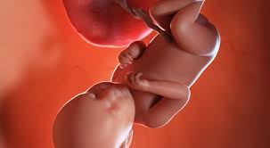 أعراض الاسبوع التاسع والثلاثين من الحمل ويب طب