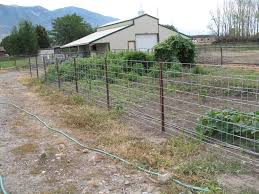 Bird Netting For Fruit Trees Bunnings Chicken Fence Best Of Wel E Home Farm Fencing Idea Farm Fence Dog Fence Hog Wire Fence