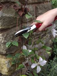 Maybe you would like to learn more about one of these? Monthly Masterclass September Winterbourne House And Garden