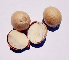 Image result for Melicoccus