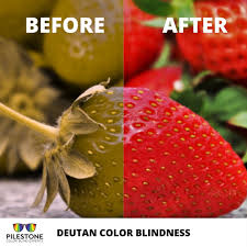 We did not find results for: Pilestone Color Blind Experts On Twitter Look At How The Colorblind See Strawberries Through Different Types Of Color Vision Deficiency Including Deutan Protan And Tritan Pilestone Awardwinning Glasses Can