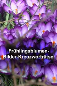 Unsere zimmer wurden individuell von verschiedenen lokalen. Pin Auf Biologie Sekundarstufe Unterrichtsmaterialien