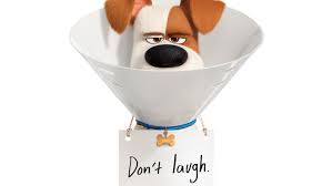2019 2019 watch the secret life of pets 2 2019 movie webdl this is a file losslessly ripped from a streaming service such as netflix amazon online for free and download the latest movies without registration webinar: Max The Secret Life Of Pets 2 Hd Movies 4k Wallpapers Images Backgrounds Photos And Pictures