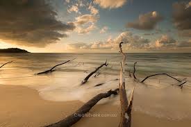 Sea Monster Sea Monsters Sunset Beach Sunset