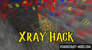 And this bypass mod looks . Xray Fullbright Mod For Forge Fabric Optifine 1 17 1 16 5 Pc Java Mods