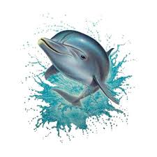 Pin By Sharon Strangman On Under Water Sea Life Dolphin Art Shark Illustration Dolphin Photos