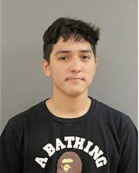 ᐅ Illinois Criminal Records 2009-2025