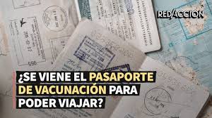 El bot solicita al usuario su número de dni y en pocos segundos le brinda información sobre las vacunas recibidas y los últimos testeos realizados en los dispositivos del gcba. Covid Como Es El Pasaporte De Vacunacion Para Viajar Red Accion