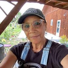 Restoring old hippie compound for artist retreat