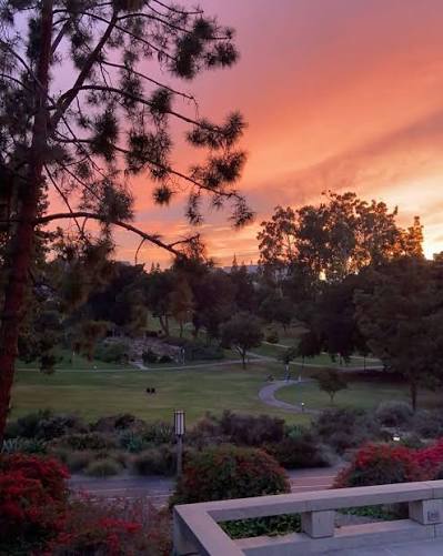 UCI Aldrich Park