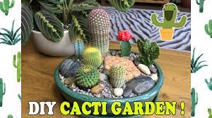 Types of indoor cactus | how to make succulent terrarium. Diy Indoor Mini Cacti Garden Youtube