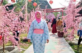 Musim semi adalah musimnya menikmati wisata bunga sakura. Wisata Negeri Sakura Blitar Tempat Wisata Indonesia