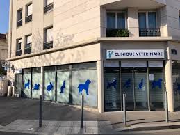 Clinique Vétérinaire du Clos des Camélias