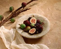 Rising high and finishing in an explosion of leaves, this 72in. What If A Fig Tree Won T Bear Fruit
