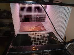Turtle dock, island, aquarium decoration. Diy In Tank Basking Platform Turtle Tank Turtle Habitat Turtle