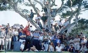 Tiger Woods 2000 Us Open