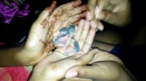 Image result for चिड़िया दाना खाती