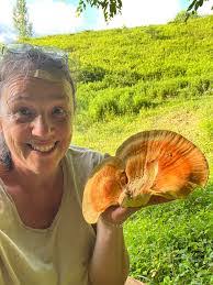 Adam Mcquerry's Instagram, Twitter & Facebook