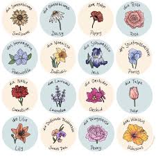 We did not find results for: A Tired Sophomore Flower Sketches Flower Names Flower Drawing