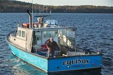 Dinner Cruise to Nebo Lodge on North Haven Island