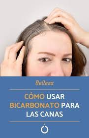 Rosa Sotelo (rosasotelo874)