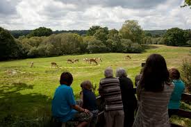 Bolderwood Deer Watch Trail • Hiking Trail » outdooractive.com