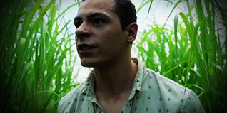 In the Tall Grass (2019)