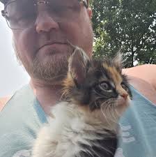 Who to use in battleworld chaos mission?