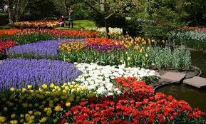 Resultado de imagen de jardines con muchas flores