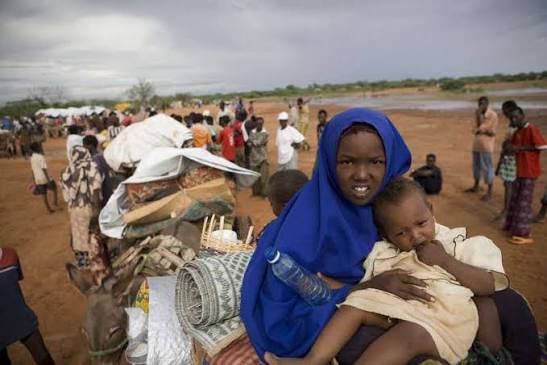 Migration Dynamics, Refugees and Internally Displaced Persons in Africa |  United Nations