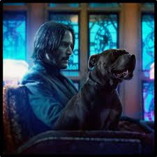 This can be noticed by the tattoo on his back, which from latin to english says fortune favors the brave, the motto of the united states marine corps, 3rd battalion, 3rd marines who have been through 5 tours of duty. John Wick John Wick Characters Tv Tropes
