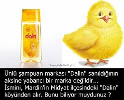 History Kpop History Kpop Biliyor Muydunuz Gizli Bilgi Bilgi Karti