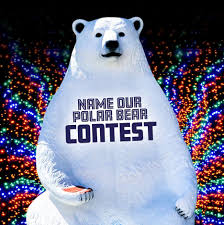 Our 5th Annual Christmas Light Show is...