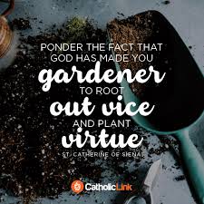 He founded the franciscan orders, including the poor clares and the lay third order. God Made Us Gardener S St Catherine Of Siena Quote Catholic Link
