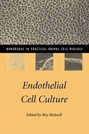 Admin august 31, 2014 developing practical skills. Endothelial Cell Culture Cell Biology And Developmental Biology Cambridge University Press
