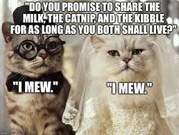 13 Hilarious Wedding Themed Images You Will Love Part 2 Funny Wedding Meme Wedding Planning Memes Generations Quotes