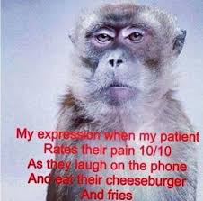 Pin By Lisa Mccarthy On Nursing Funny Nurse Quotes Nursing Memes Nurse Humor