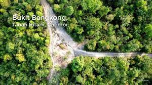 terkini hartalega beli tanah 240 ekar di bukit kayu hitam. Bukit Bangkong Tanah Hitam Chemor Perak Youtube