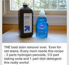 Best Stain Remover Ever Kitchengarden Gardenflowers Gardensbythebay Homedesign Bedroomdesign Inte Homemade Stain Removers Household Cleaning Tips Cleaning