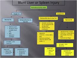 Image result for PECARN Pediatric Intra-Abdominal Injury Algorithm
