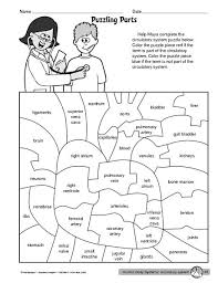 Science Worksheet Circulatory System The Mailbox Circulatory System Activities Circulatory System For Kids Circulatory System
