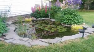 Rigid liners are easier to install than flexible liners and come in a variet. Maccourt Key Largo 270 Gal Preformed Pond Liner Lp9118 The Home Depot Preformed Pond Liner Pond Liner Large Plants