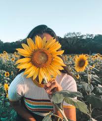 Check spelling or type a new query. Pinterest Aesthetic Pictures Instagram Novocom Top