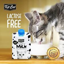 Kit Cat Lactose Free Milk Pet Supplies Pet Food On Carousell