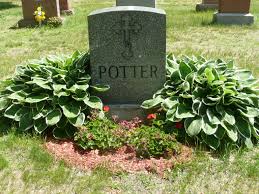 Sarah Ellen “Sadie” Donovan Potter (1885-1928)