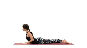 Santosha is the second of the niyamas of patanjali's eight limbs of yoga. Bhujangasana Yoga Cobra Pose Yoga Pose Gaia