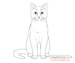 How To Draw A Cat Step By Step From Front View Easydrawingtips A new animal tutorial is uploaded every week, so check beck soon for new tutorials! how to draw a cat step by step from